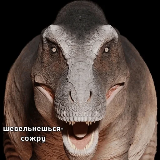 😡 Стикер «ДЭДОВЫ НАКЛЕЙКИ» для Telegram