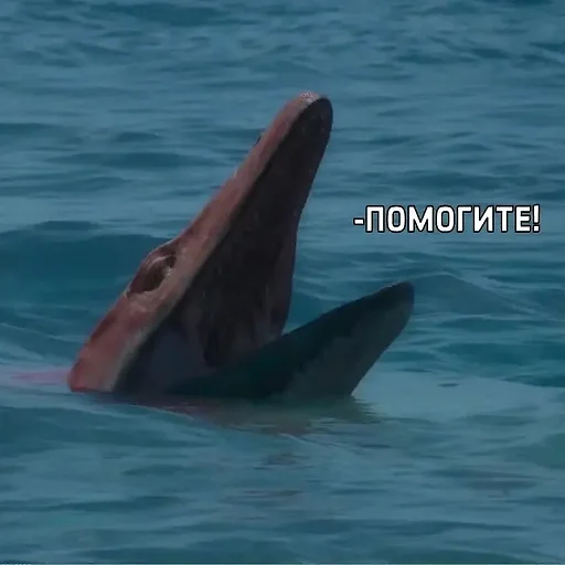 🙏 Стикер «ДЭДОВЫ НАКЛЕЙКИ» для Telegram