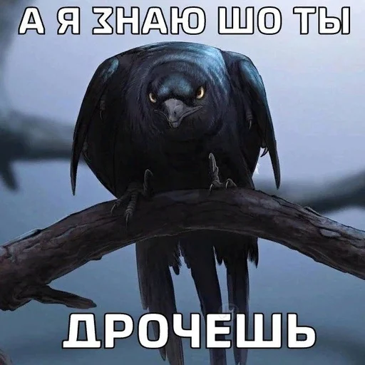 🤓 Стикер «ДЭДОВЫ НАКЛЕЙКИ» для Telegram