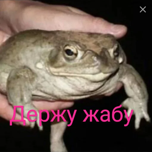 ☺️ Стикер «Лол кек чебурек» для Telegram