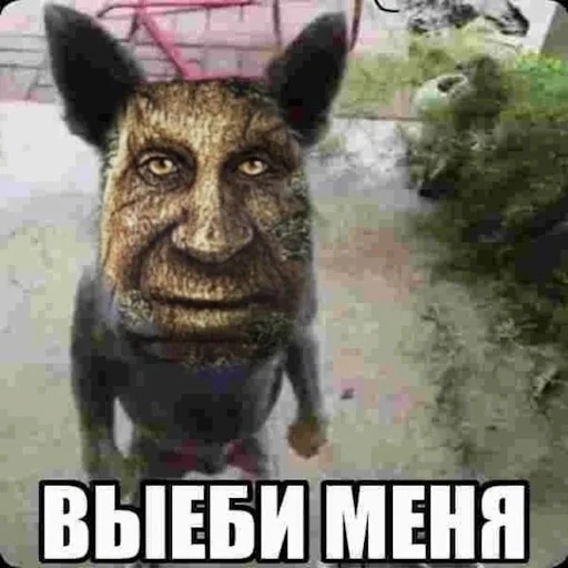 🫡 Стикер «Лол кек чебурек» для Telegram