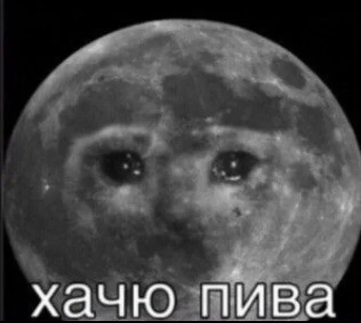 🤓 Стикер «Лол кек чебурек» для Telegram