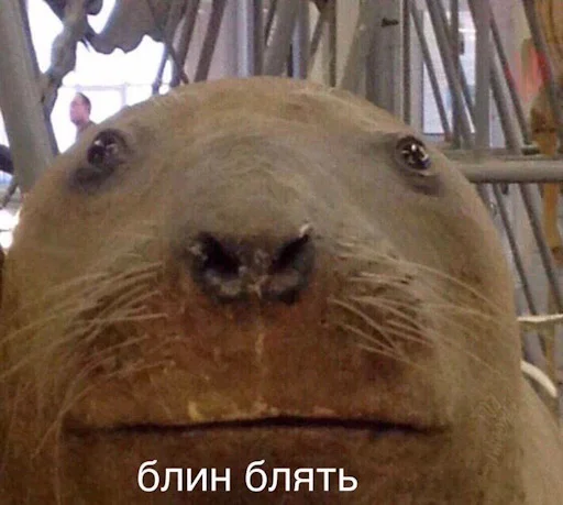 😤 Стикер «Лол кек чебурек» для Telegram