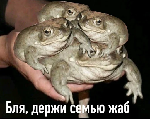 😎 Стикер «Лол кек чебурек» для Telegram