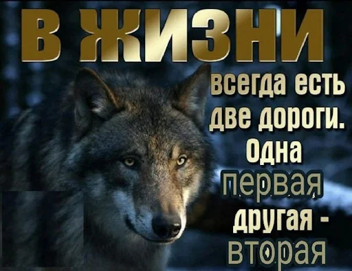 🐓 Стикер «Лол кек чебурек» для Telegram