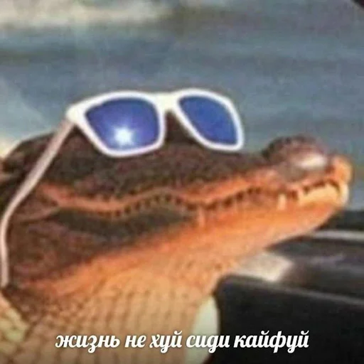 🧖‍♀ Стикер «Лол кек чебурек» для Telegram