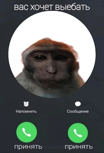 🐔 Стикер «Лол кек чебурек» для Telegram