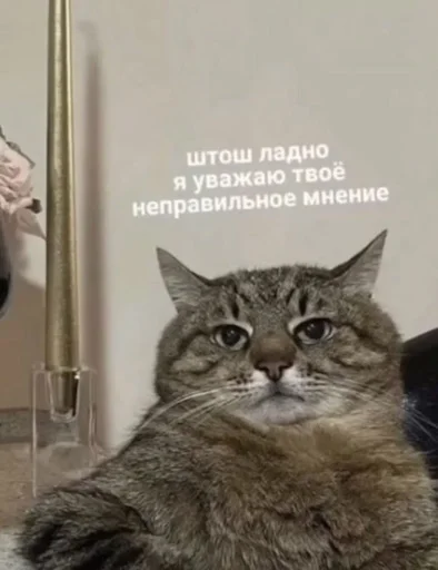 😤 Стикер «Лол кек чебурек» для Telegram