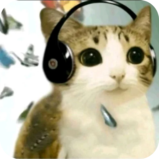 🐱 Стикер «Default Boy» для Telegram