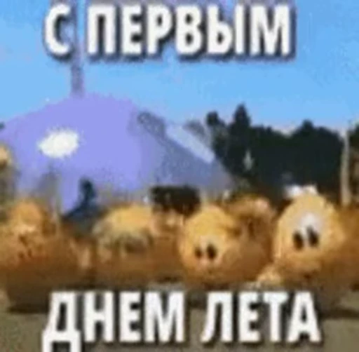 🎉 Стикер «Действуйте» для Telegram