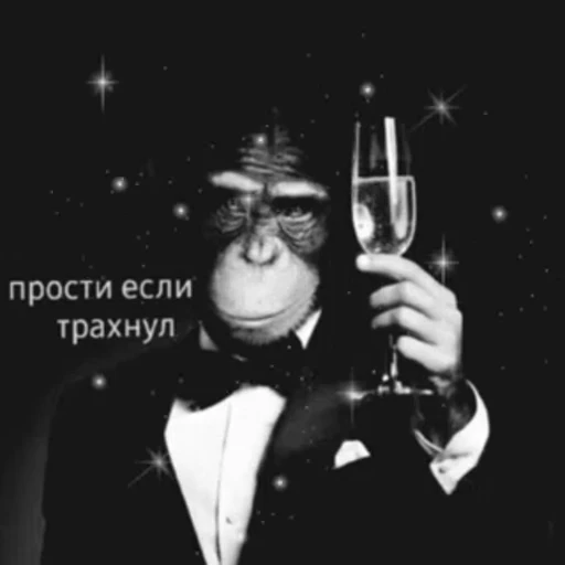 🍷 Стикер «Действуйте» для Telegram