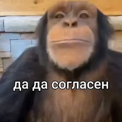 ✅ Стикер «Действуйте» для Telegram