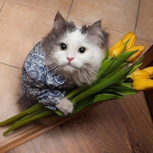 🤨 Стикер «Дела Котеечные part 3» для Telegram