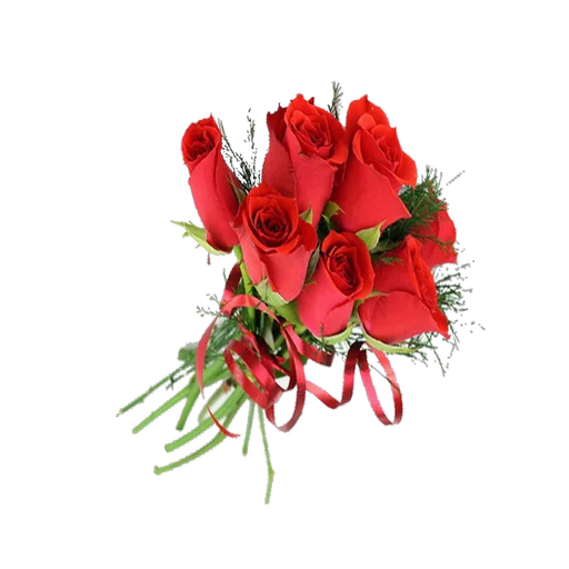 🌹 Стикер «To`y» для Telegram