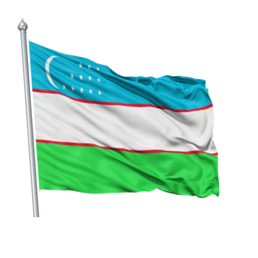 🇺🇸 Стикер «To`y» для Telegram