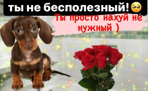🖕 Стикер «Депрессивные» для Telegram