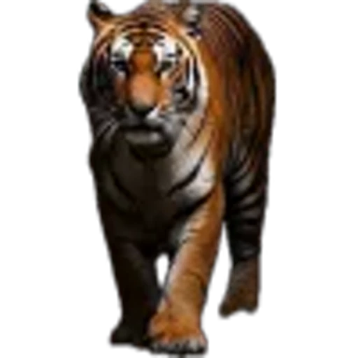 🌟 Эмодзи «Lion» для Telegram