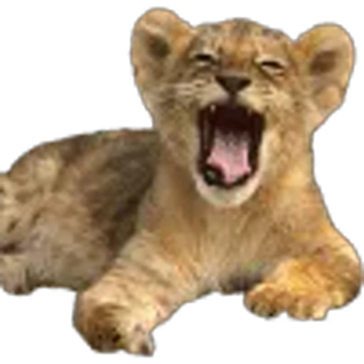 🌟 Эмодзи «Lion» для Telegram