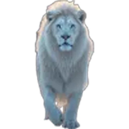 🌟 Эмодзи «Lion» для Telegram
