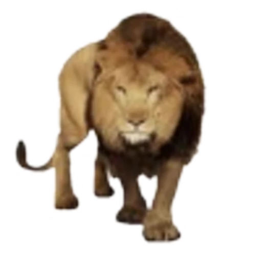 🦁 Эмодзи «Lion» для Telegram