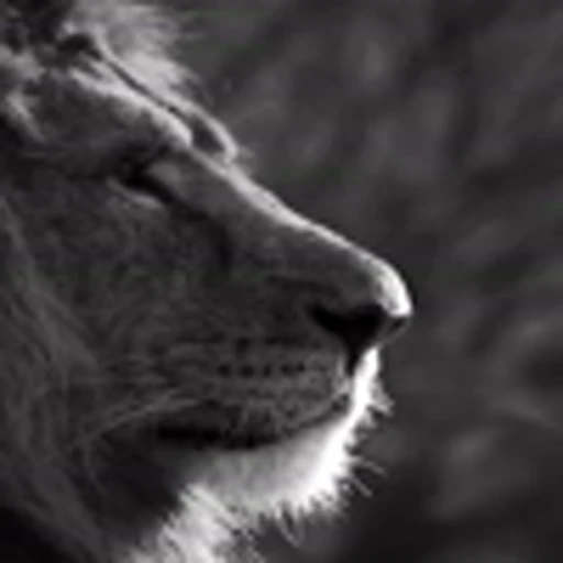 👦 Эмодзи «Lion» для Telegram