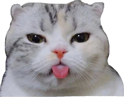 Стикерпак Derp для Telegram