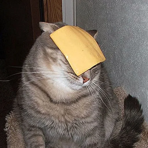 🧀 Стикер «Derp Zone» для Telegram