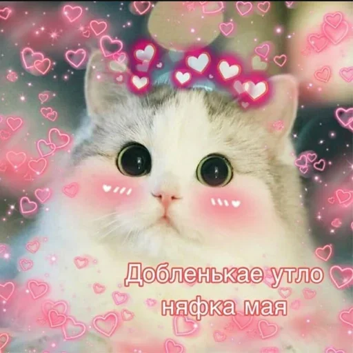 🥰 Стикер «Держи себя в руках» для Telegram