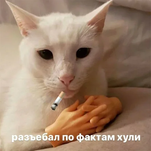 😖 Стикер «Держи себя в руках» для Telegram