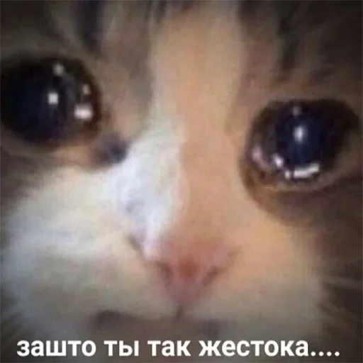 😧 Стикер «Держи себя в руках» для Telegram