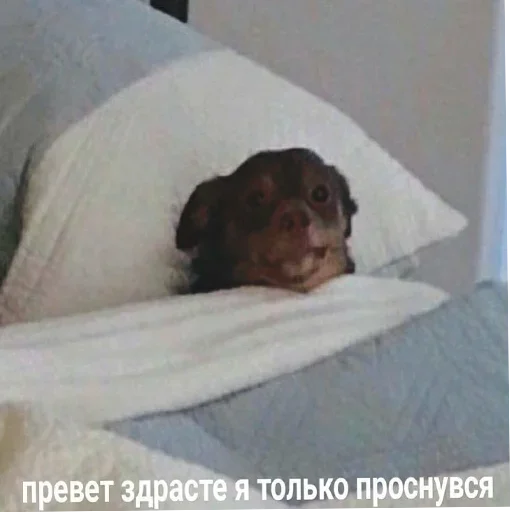 😎 Стикер «Держи себя в руках» для Telegram