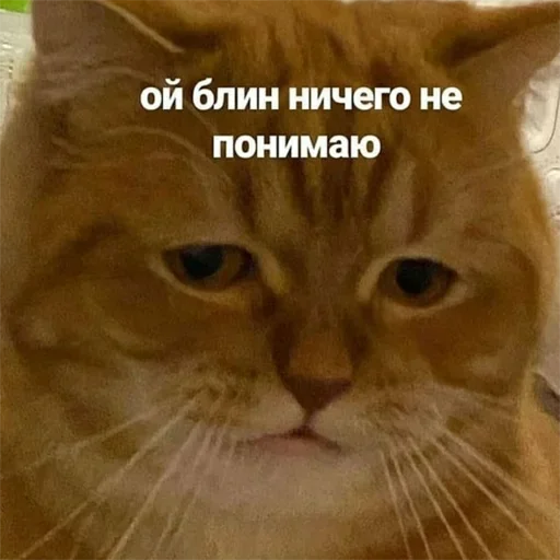 🥱 Стикер «Держи себя в руках» для Telegram