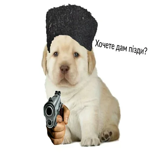 😤 Стикер «Держи себя в руках» для Telegram