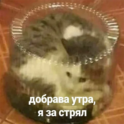 😴 Стикер «Держи себя в руках» для Telegram