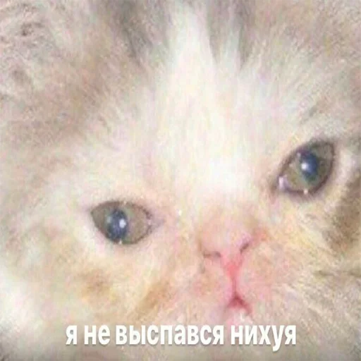 😯 Стикер «Держи себя в руках» для Telegram