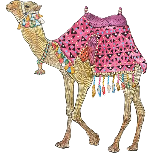 🐫 Стикер «Camels ਬੋਤੇ» для Telegram