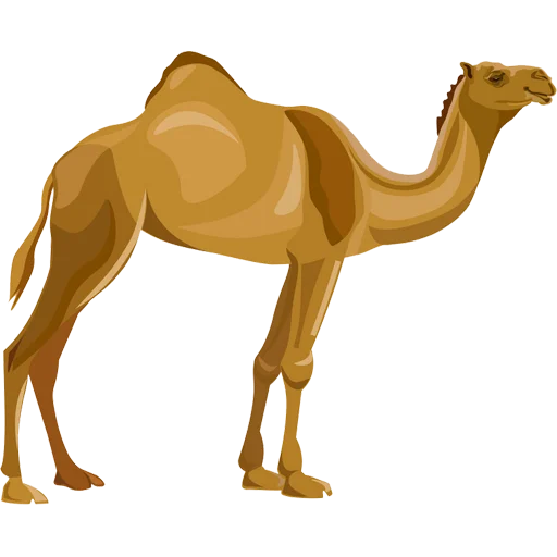 🐪 Стикер «Camels ਬੋਤੇ» для Telegram