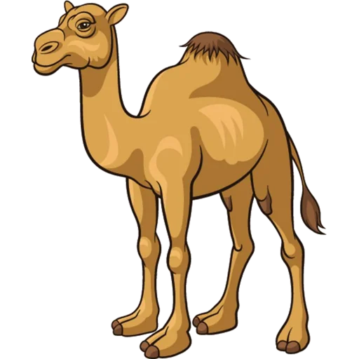 🐪 Стикер «Camels ਬੋਤੇ» для Telegram