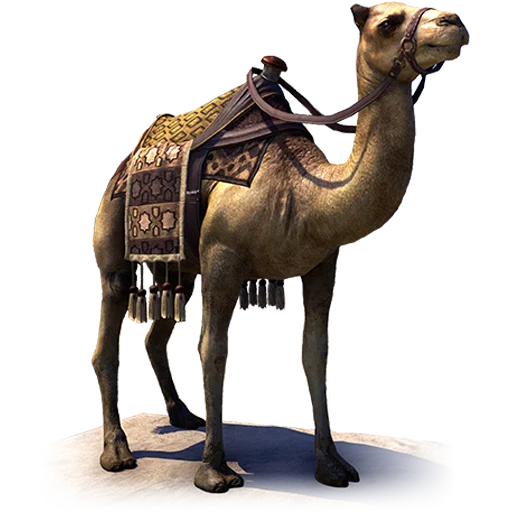 🐪 Стикер «Camels ਬੋਤੇ» для Telegram