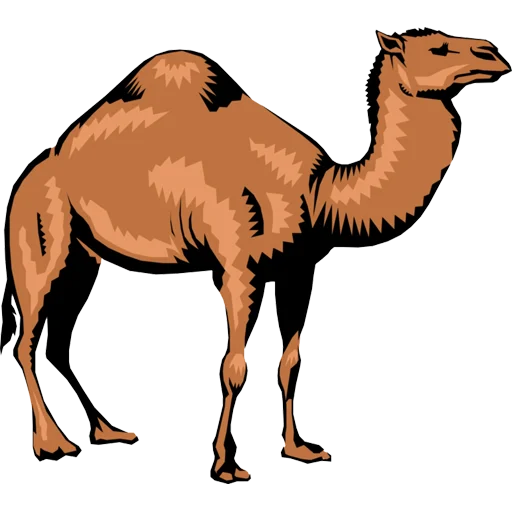 🐪 Стикер «Camels ਬੋਤੇ» для Telegram