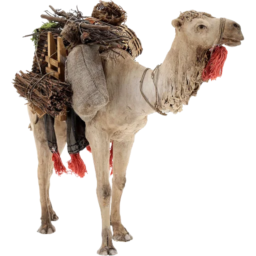 🐪 Стикер «Camels ਬੋਤੇ» для Telegram