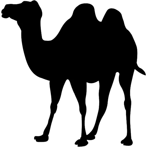 🐫 Стикер «Camels ਬੋਤੇ» для Telegram