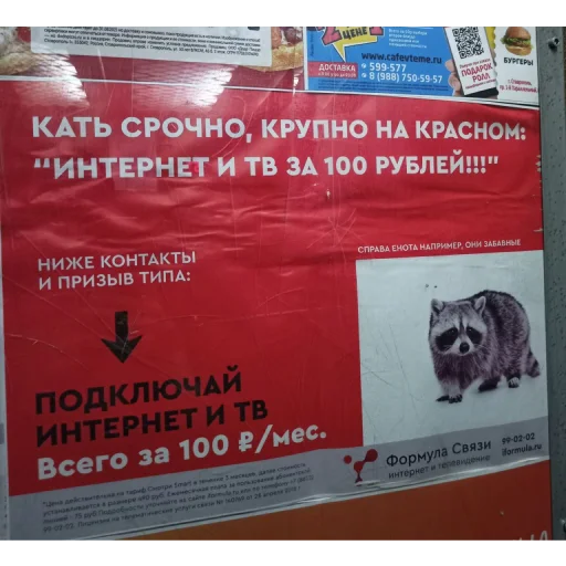 🦝 Стикер «Дизайнер всея руси» для Telegram
