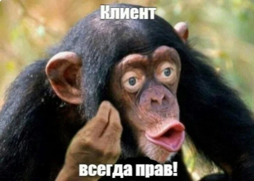☝️ Стикер «memlar» для Telegram