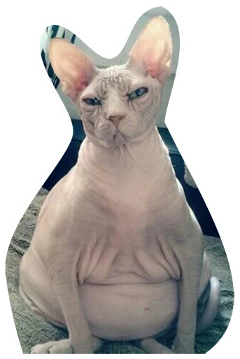 😾 Стикер «DevRias» для Telegram