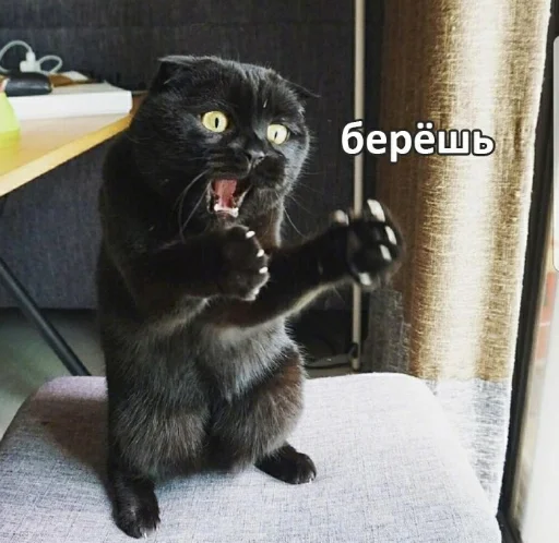 😾 Стикер «DevRias» для Telegram