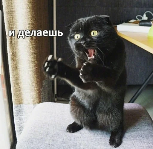 😾 Стикер «DevRias» для Telegram