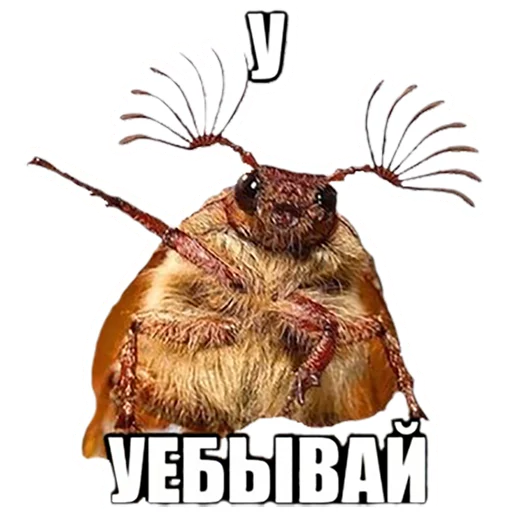 😕 Стикер «DevRias» для Telegram