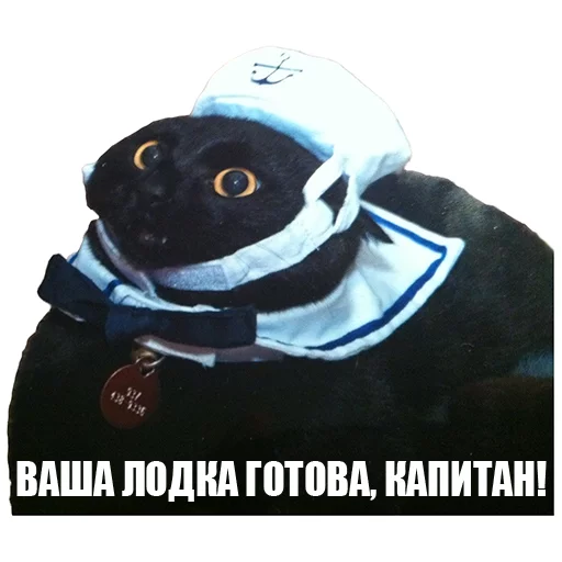 😬 Стикер «DevRias» для Telegram