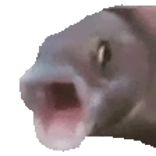 🐟 Стикер «OLDstickers» для Telegram